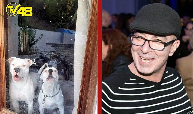 Muğla&#039;da 6 pitbull ile korunan bağ evine uyuşturucu baskını