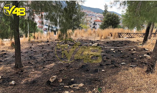 Muğla&#039;nın Milas İlçesine Bağlı Güneş Mahallesi&#039;nde Yangın Meydana Geldi