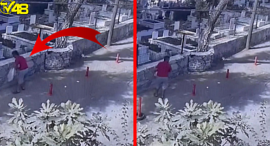 Sokak Hayvanları İçin Konulan Mama Kaplarını İşte Böyle Çaldı