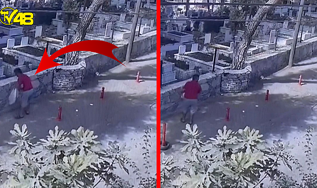 Sokak Hayvanları İçin Konulan Mama Kaplarını İşte Böyle Çaldı