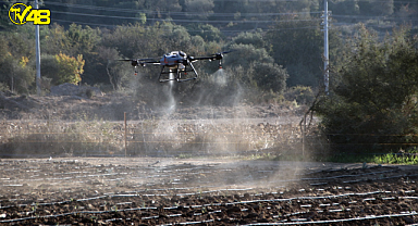 BODRUM'DA DRON İLE İLAÇMA DÖNEMİ BAŞLIYOR
