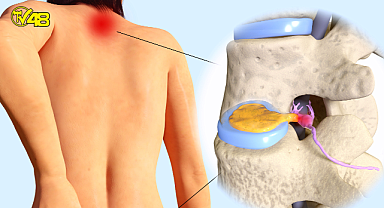 BUNLAR FITIK BELİRTİSİ OLABİLİR!