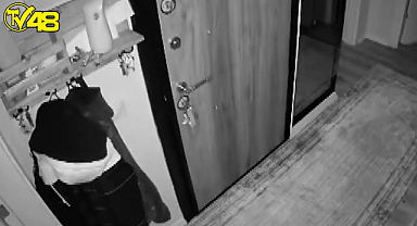 Düzce'deki deprem sırasında evdeki kedinin kaçma anı