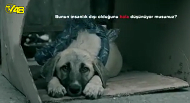 Empati - HAYTAP Kısa film