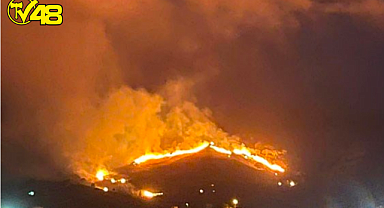 Gökçeada'da Üç Ayrı Noktada Yangın Çıktı