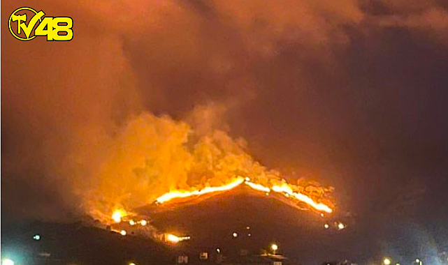 Gökçeada&#039;da Üç Ayrı Noktada Yangın Çıktı