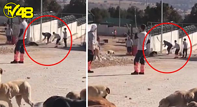 Konya’da vahşet: Kürekle vura vura öldürdü