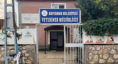 KUDUZ NEDENİYLE İKİ MAHALLE KARANTİNAYA ALINDI
