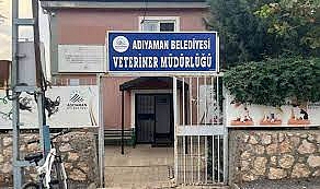 KUDUZ NEDENİYLE İKİ MAHALLE KARANTİNAYA ALINDI