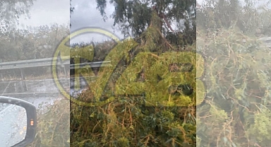 Kuvvetli Fırtına Söke'de Hayatı Olumsuz Etkiledi