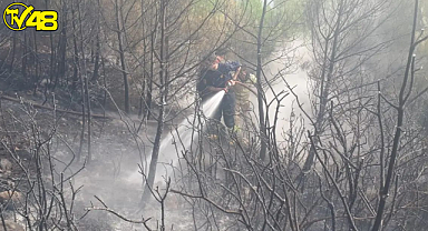 Muğla'nın Fethiye İlçesinde Orman Yangını Meydana Geldi