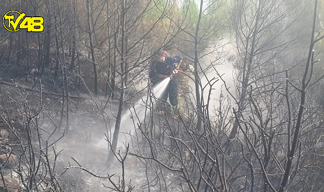 Muğla&#039;nın Fethiye İlçesinde Orman Yangını Meydana Geldi