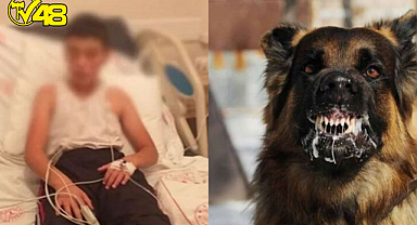 SON DAKİKA HABERİ: Kuduz olan çocuk hayatını kaybetti!!!