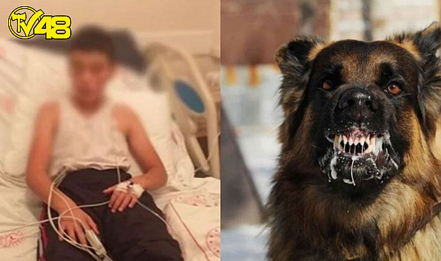 SON DAKİKA HABERİ: Kuduz olan çocuk hayatını kaybetti!!!