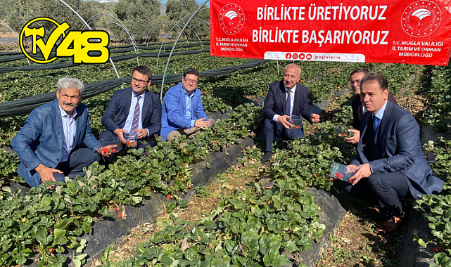 Yatağan&#039;da Çilek Projesinin 7. Etabı Tamamlandı