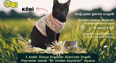 3 Aralık Dünya Engelliler Günü'nde Engelli Hayvanlar olarak "Bir sıfırdan büyüktür!" diyoruz