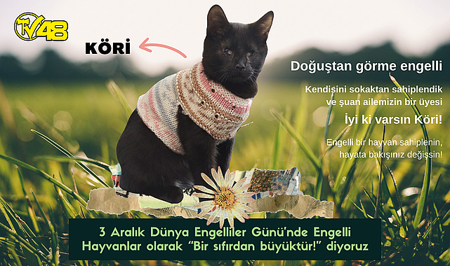 3 Aralık Dünya Engelliler Günü&#039;nde Engelli Hayvanlar olarak &quot;Bir sıfırdan büyüktür!&quot; diyoruz