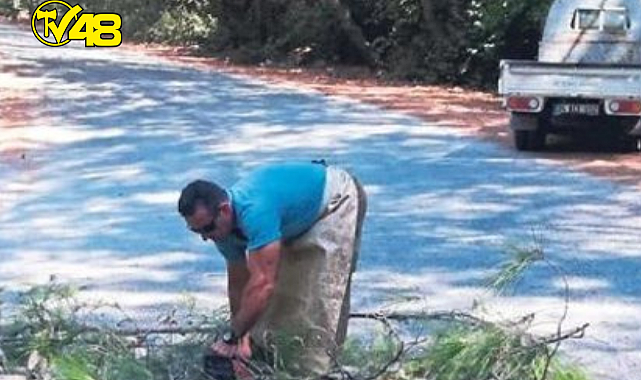 AĞAÇ KESEN MÜDÜR GÖREVDEN ALINDI!!