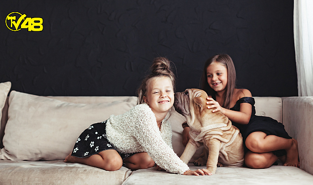 Evde Evcil Hayvan Beslemenin Çocuğunuza Sağlayacağı Faydalar