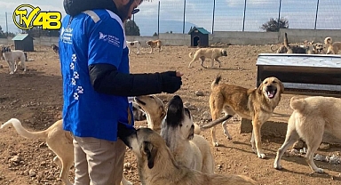 HAYTAP Konya Bakım Evindeki Can Dostlarına Yuva Bulmaya Devam Ediyor