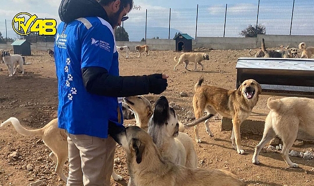 HAYTAP Konya Bakım Evindeki Can Dostlarına Yuva Bulmaya Devam Ediyor