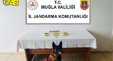 Jandarmanın yol kontrol noktasında durdurduğu otomobilde, üzerinde 1 kilo 102 gram kubar esrar ile yakalanan sürücü gözaltına alındı.
