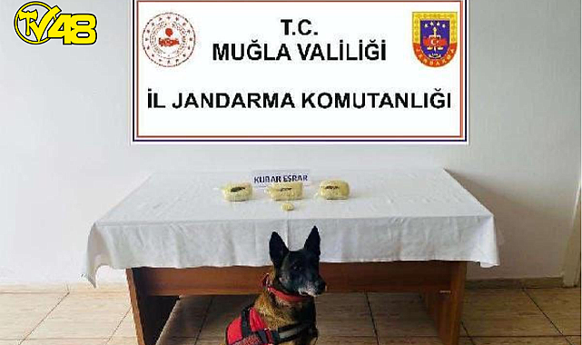 Jandarmanın yol kontrol noktasında durdurduğu otomobilde, üzerinde 1 kilo 102 gram kubar esrar ile yakalanan sürücü gözaltına alındı.