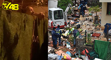 Marmaris'teki vahşette yeni gelişme: Evinde çok sayıda kedi köpek ölüsü bulunan kadın akıl hastanesine sevk edildi