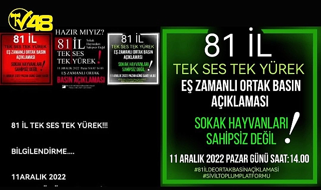 SOKAK HAYVANLARI İÇİN EŞ ZAMANLI ORTAK BASIN AÇIKLAMASI YAPILACAK