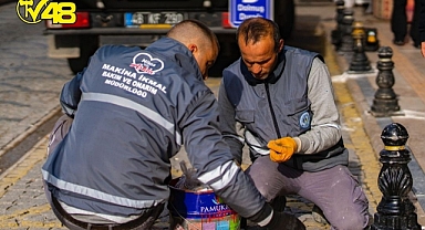 YIPRANMIŞ DUBALAR YENİLENİYOR