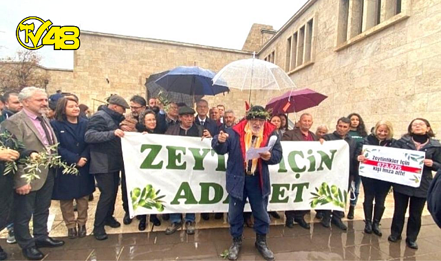 Zeytinlikleri tehdit eden madde, kanun teklifinden çıkarıldı!