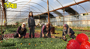 2022 Yılında 1 Milyon 250 Bin Çiçek Üretildi
