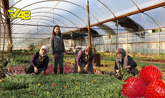 2022 Yılında 1 Milyon 250 Bin Çiçek Üretildi