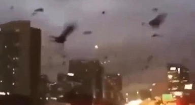 Ukrayna'nın başkenti Kiev'de kargalar gökyüzünü istila etti.