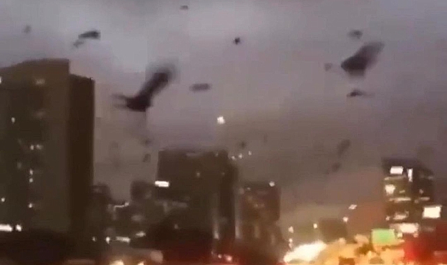 Ukrayna&#039;nın başkenti Kiev&#039;de kargalar gökyüzünü istila etti.