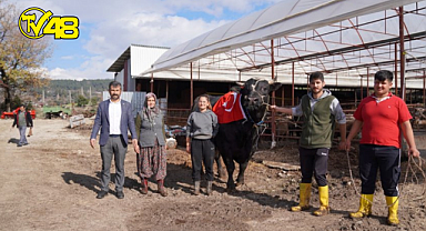 933,5 kilogram ile Türkiye rekorunu kırdı.