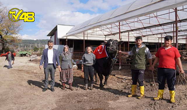 933,5 kilogram ile Türkiye rekorunu kırdı.