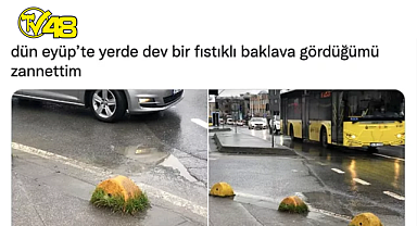 Eyüp'te Dev Baklavalardan Arabayla Kuş Gezdirmeye Çıkanlara Son 24 Saatin Twitter'da Viral Olan Paylaşımları