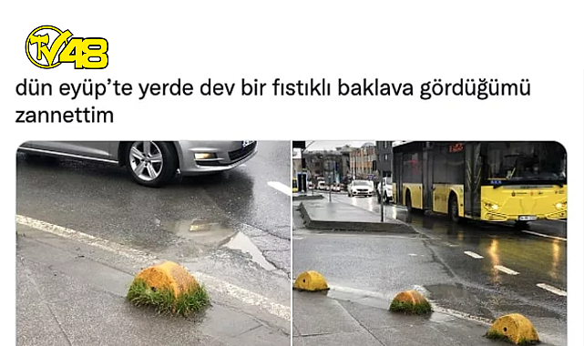 Eyüp&#039;te Dev Baklavalardan Arabayla Kuş Gezdirmeye Çıkanlara Son 24 Saatin Twitter&#039;da Viral Olan Paylaşımları