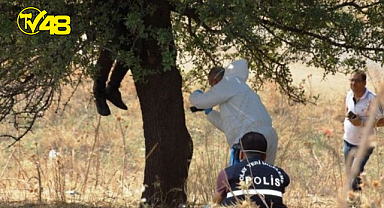 Kayıp şahıs ormanlık alanda ağaca asılı halde bulundu