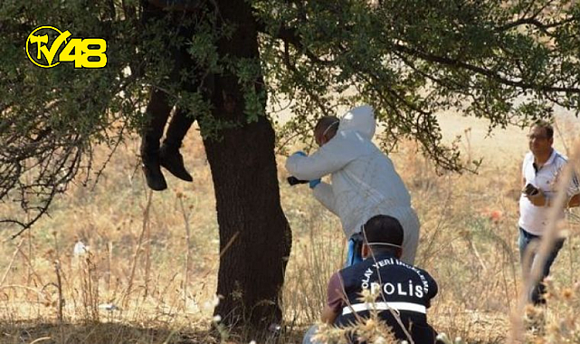 Kayıp şahıs ormanlık alanda ağaca asılı halde bulundu