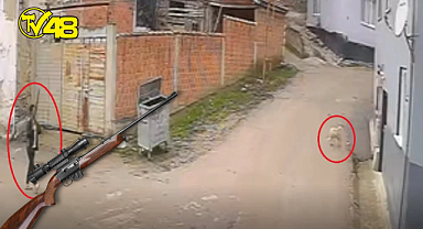 Kovaladığı köpeği tüfekle vurdu! O anlar güvenlik kamerası tarafından saniye saniye görüntülendi