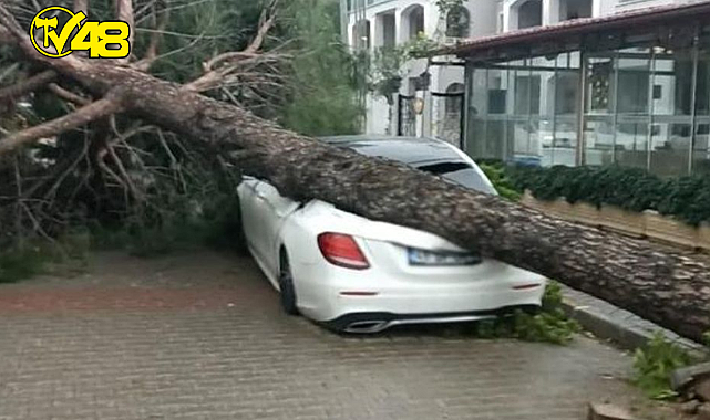 Marmaris savaş alanına döndü! Fırtınanın vurduğu dev ağaç lüks otomobili hurdaya çevirdi