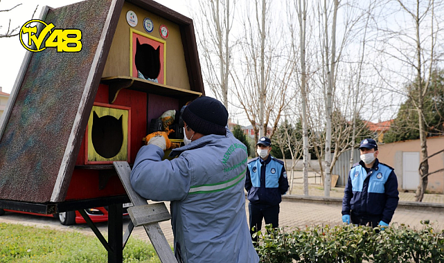 MENTEŞE BELEDİYESİ SOĞUK HAVALARDA CAN DOSTLARIMIZIN YANINDA