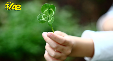 Ruhunuzu rahatlatacak 7 öneri