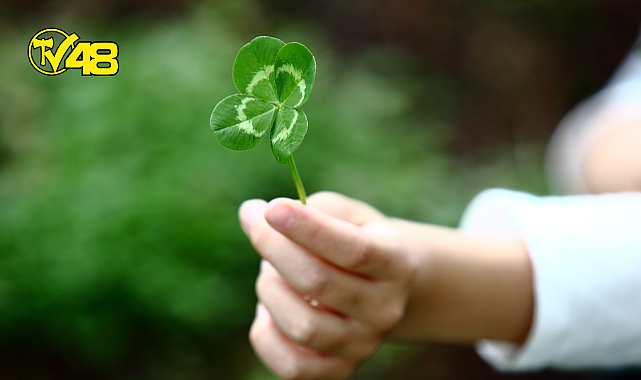 Ruhunuzu rahatlatacak 7 öneri