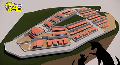 SOKAK HAYVANLARI İÇİN BÜYÜK PROJE