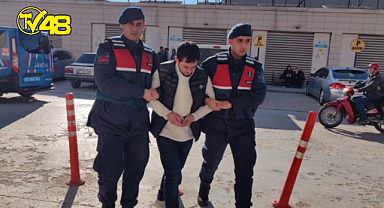 Sokak köpeğini av tüfeğiyle öldüren şahıs tutuklandı!