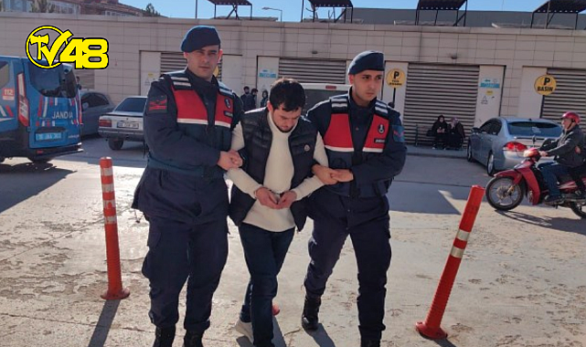 Sokak köpeğini av tüfeğiyle öldüren şahıs tutuklandı!