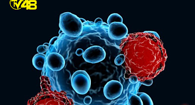 TRABZON KARADENİZ TEKNİK ÜNİVERSİTESİ BAŞARDI; 4 KANSER TÜRÜ İLE SAVAŞACAK 2 AYRI BİLEŞİK ELDE EDİLDİ